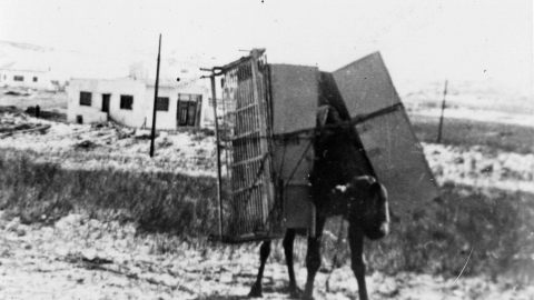 עוברים דירה בבית וגן.jpg