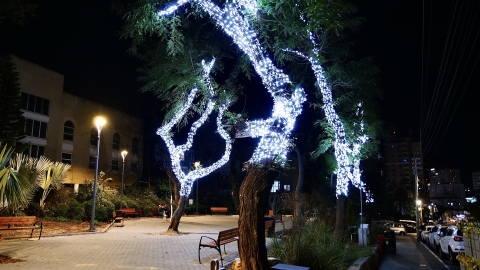 גינת רוטשילד 60