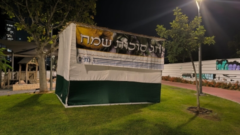 עירית בת ים(2).jpeg