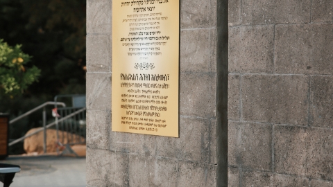 מריה ריבין.jpg